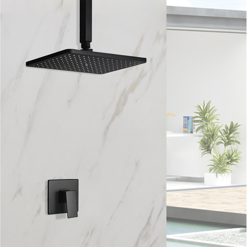 In Muur Verborgen Badkamer Dou - Shower Arm Ceiling Mount Brass Chrome recensie en prijs